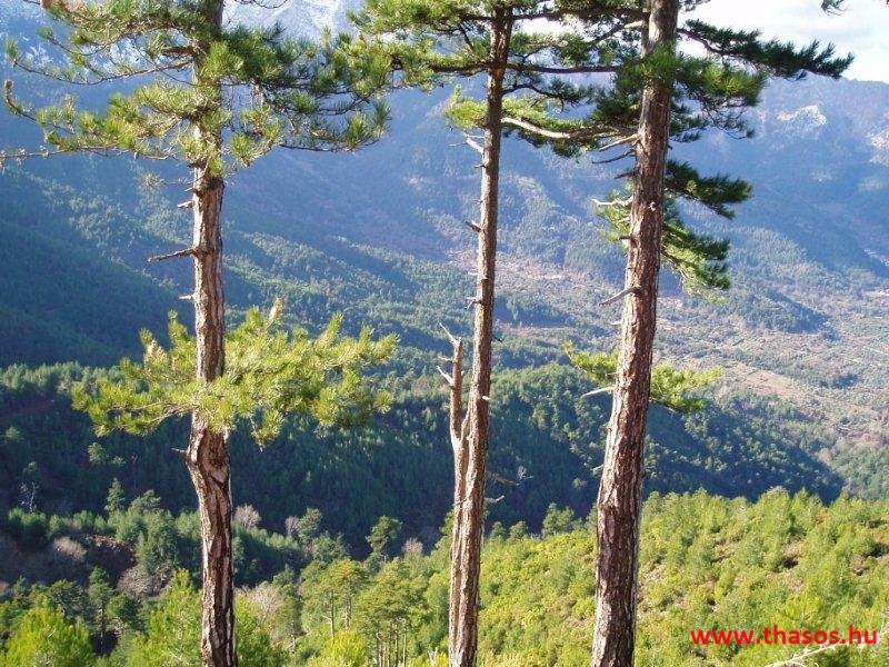 Golden Beach, hegyek